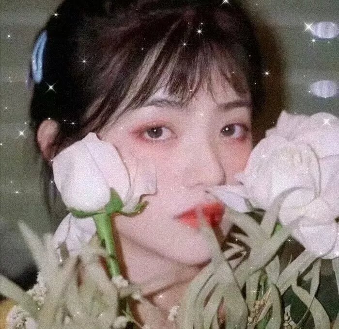 恶灵07 月光光心慌慌